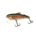 Redband Trout